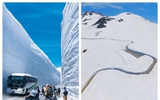 „Zidul de zăpadă“: Cum fac japonezii turism cu drumul care taie nămeții