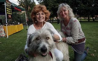 Câine cu personalitate: Ciobănescul mioritic care a cucerit publicul la un concurs din Anglia - VIDEO