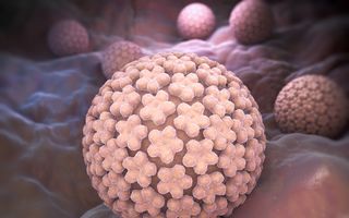10 mituri despre virusul HPV care-ți pot pune sănătatea în pericol