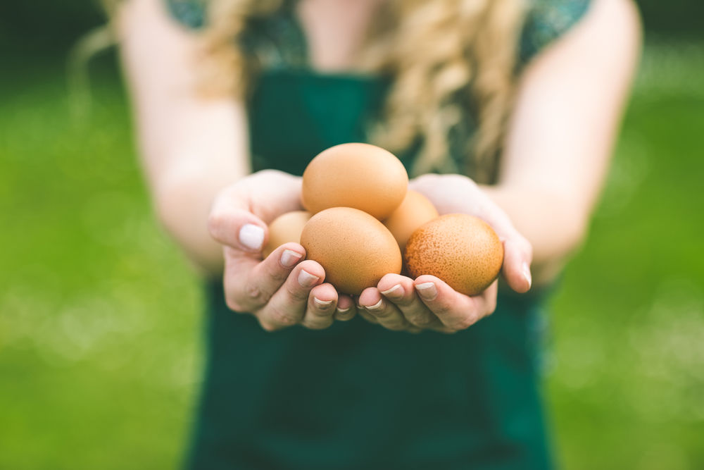Cum îți dai seama dacă un ou este proaspăt sau vechi