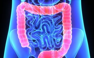 Ce ar trebui să știi despre sănătatea intestinelor