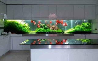 Idei de decor: Cele mai uimitoare 25 de acvarii