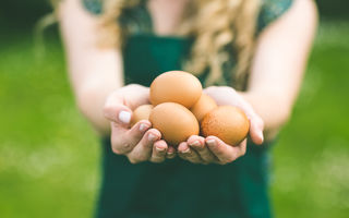 Cum îți dai seama dacă un ou este bun fără să îl spargi