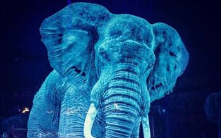 Un circ din Germania folosește holograme în locul animalelor, iar oamenii sunt încântați