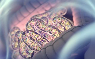 5 mituri despre microbiomul uman