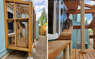 Terase construite pentru pisici, o nouă modă printre iubitorii de animale. 25 de imagini