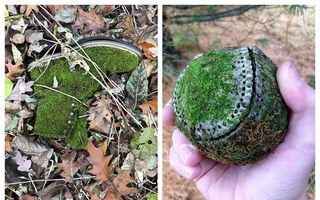 25 de lucruri neobișnuite găsite în pădure: Nici nu-ți imaginai că poți să dai peste așa ceva!