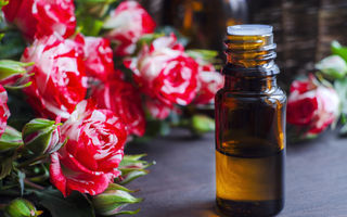 Absolutul de trandafir: 4 utilizări parfumate pentru relaxare și frumusețe
