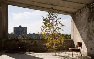 Natura preia puterea la Cernobîl: 50 de imagini din locul pe care oamenii l-au părăsit