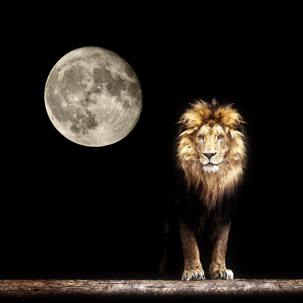 Luna Nouă în zodia Leu. Cum te afectează în următoarele săptămâni