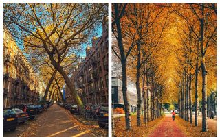 Toamna la Amsterdam: 10 imagini pline de culoare