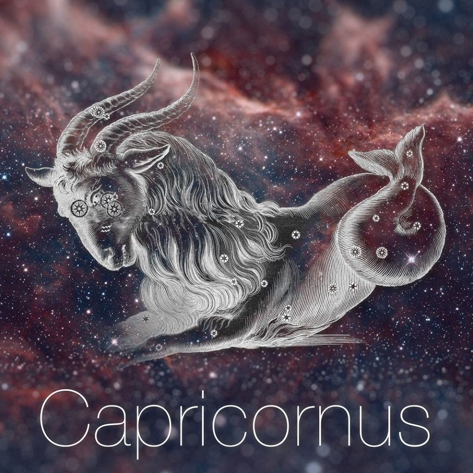 horoscop 2020 capricorn