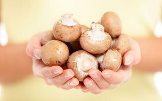 Care sunt beneficiile consumului de ciuperci?
