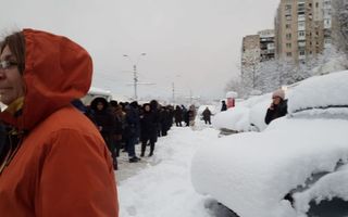 Zăpada a paralizat Bucureștiul! Zeci de copaci s-au prăbușit pe mașini - Ce se întâmplă acum în Capitală după ce a nins toată noaptea