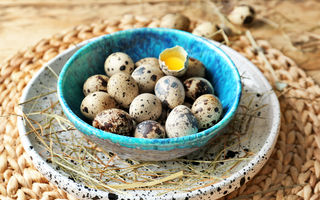 5 tratamente naturiste cu ouă de prepeliță