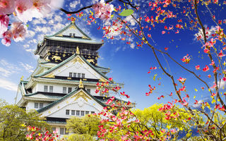 Cât costă o excursie în Japonia?