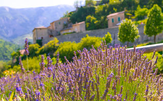 Lavandă, peisaje muntoase și regiuni viticole de basm: cele mai frumoase sate din Franța