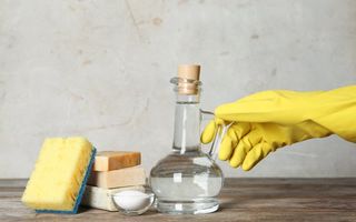 6 produse naturale cu proprietăți antibacteriene cu care îți poți dezinfecta casa