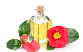 De ce ar trebui să incluzi neapărat uleiul camellia în ritualul tău de îngrijire