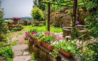 7 sfaturi pentru amenajarea unei grădini rustice