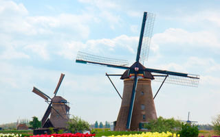 8 curiozități despre Olanda