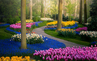 Imagini de vis din cea mai frumoasă grădină din lume. Este închisă pentru prima dată după 71 de ani
