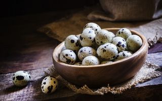 Cura cu ouă de prepeliţă: contraindicaţii și informaţii nutriţionale