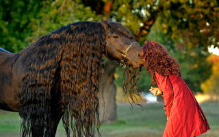 Cel mai frumos cal din lume: Frederik Cel Mare, un fotomodel pur sânge