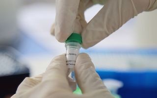 #VeștiBune: Teste moleculare Real Time PCR pentru diagnosticarea COVID-19, disponibile la cerere în 25 de orașe din țară din rețeaua Synevo