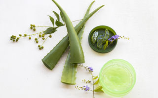 Preparate naturiste din Aloe vera. 4 rețete simple pentru piele, păr și corp