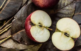 Sunt semințele de măr bune pentru consum sau otrăvitoare? | Secretele Caloriilor
