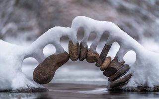 Spectacolul naturii: Minunile pe care le poți vedea numai iarna