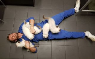 Terapie cu pisici. 40 de imagini care te vor înduioșa