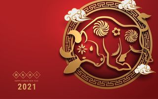 Horoscop chinezesc 2021. Cele mai norocoase zodii în dragoste în anul Bivolului de Metal