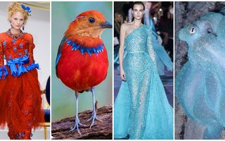 35 de creații vestimentare ce par inspirate din natură