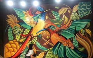 Ziduri transformate în opere de artă: Creațiile spectaculoase ale unei artiste din Argentina