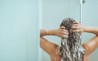 Mit sau adevăr: șamponul de cal este bun pentru creșterea părului?