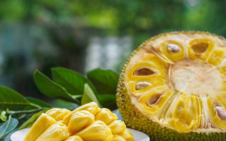 Cum se consumă jackfruit sau carnea vegetală și ce beneficii are acest fruct?