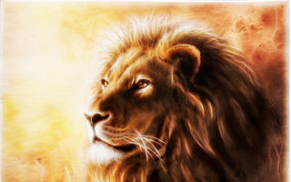 7 calități admirabile ale unui Leu