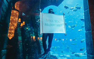 Cererea perfectă în căsătorie. Dubai: locații unice și o ofertă uimitoare pentru vară!