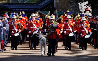 Iată de ce a defilat o capră în fruntea paradei din Cardiff, dedicată Reginei Elisabeta a II-a și Regelui Charles al III-lea
