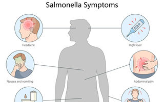 Cum îți dai seama că te-ai infectat cu Salmonella: semne, simptome și ce ai de făcut