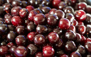 Cireșele amare: fructele cu puteri terapeutice remarcabile