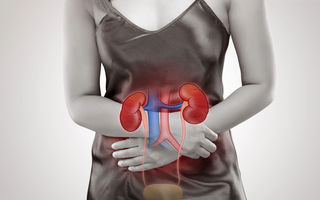 Infecțiile urinare recurente: de ce se întorc și ce poți face pentru prevenție pe termen lung