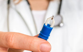 Totul despre babesioză: simptome, cauze și tratament