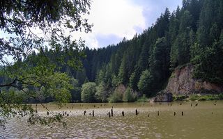 Lacul Roșu – lacul blestemat unde copacii par să strige din adâncuri