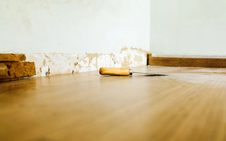 Mucegai sub parchet: cauze, riscuri și cum scapi definitiv de el