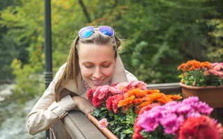 Flori de toamnă: ghid complet pentru grădini și balcoane colorate