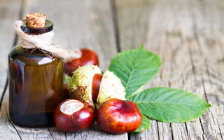 Extract de castan: beneficii pentru organism și utilizări surprinzătoare