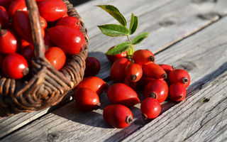 Ce preparate putem face din măceșe: idei delicioase și sănătoase